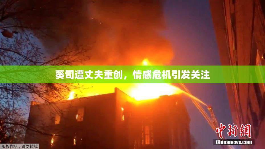 葵司遭丈夫重创，情感危机引发关注