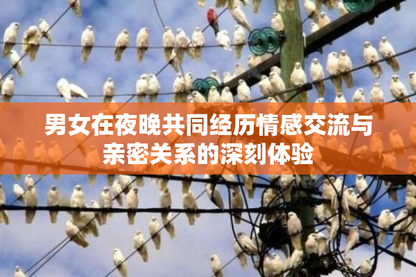 男女在夜晚共同经历情感交流与亲密关系的深刻体验