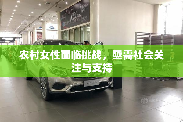 农村女性面临挑战，亟需社会关注与支持
