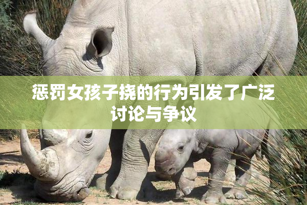 惩罚女孩子挠的行为引发了广泛讨论与争议
