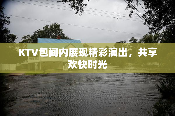 KTV包间内展现精彩演出，共享欢快时光