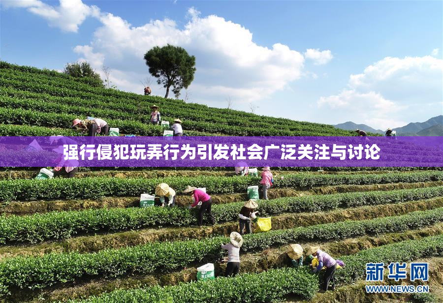 强行侵犯玩弄行为引发社会广泛关注与讨论