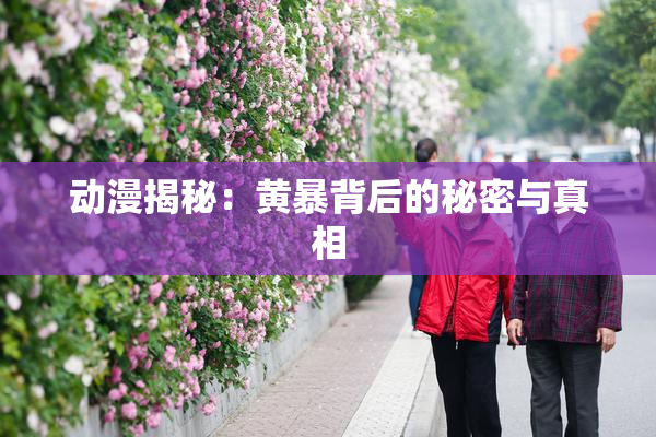 动漫揭秘：黄暴背后的秘密与真相
