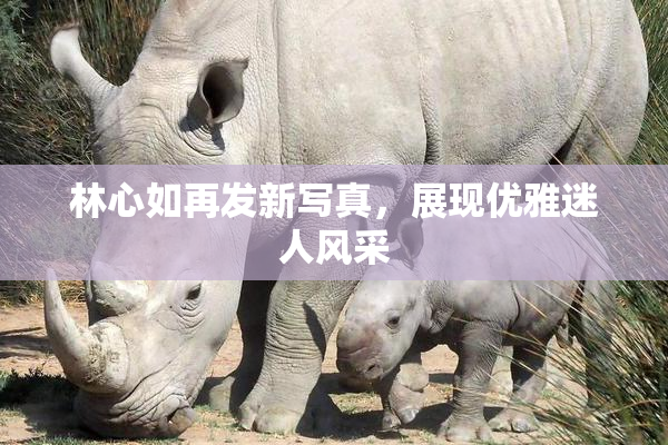 林心如再发新写真，展现优雅迷人风采