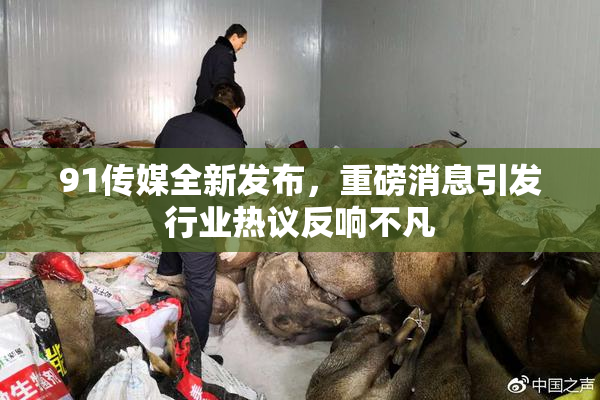 91传媒全新发布，重磅消息引发行业热议反响不凡