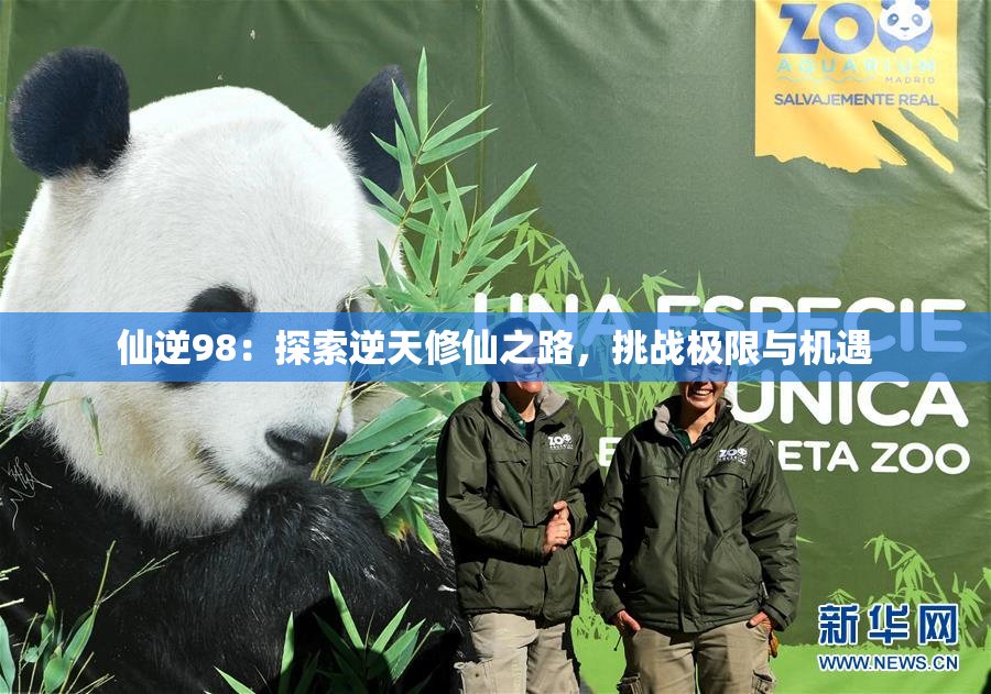 仙逆98：探索逆天修仙之路，挑战极限与机遇