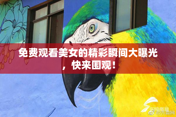 免费观看美女的精彩瞬间大曝光，快来围观！