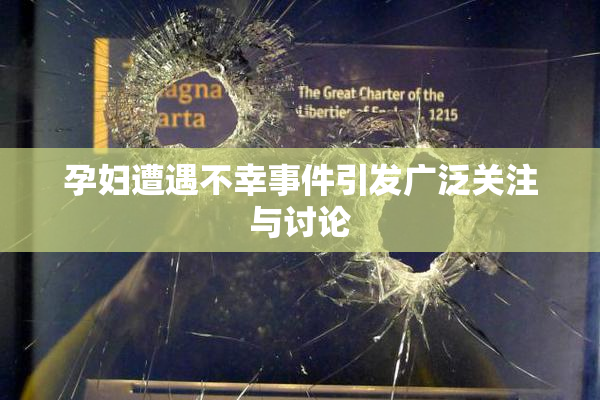 孕妇遭遇不幸事件引发广泛关注与讨论