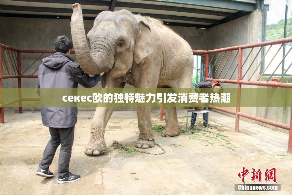 ceкес欧的独特魅力引发消费者热潮