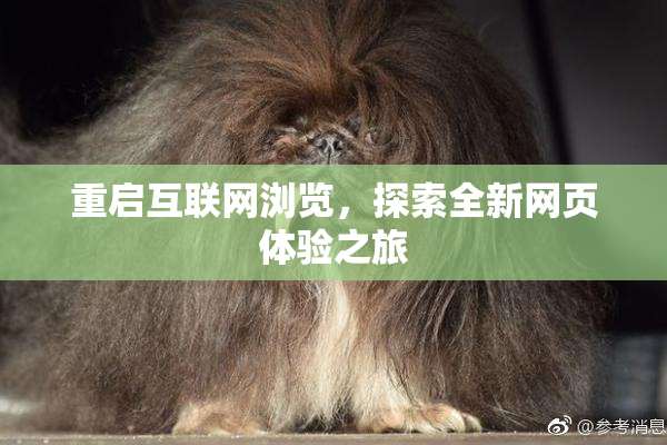 重启互联网浏览，探索全新网页体验之旅