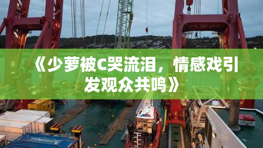 《少萝被C哭流泪，情感戏引发观众共鸣》