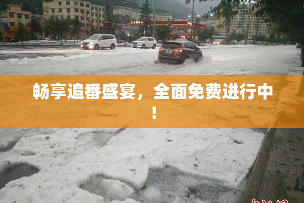 畅享追番盛宴，全面免费进行中！