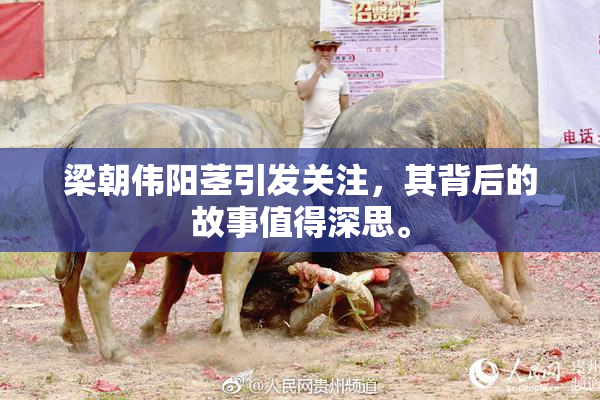 梁朝伟阳茎引发关注，其背后的故事值得深思。