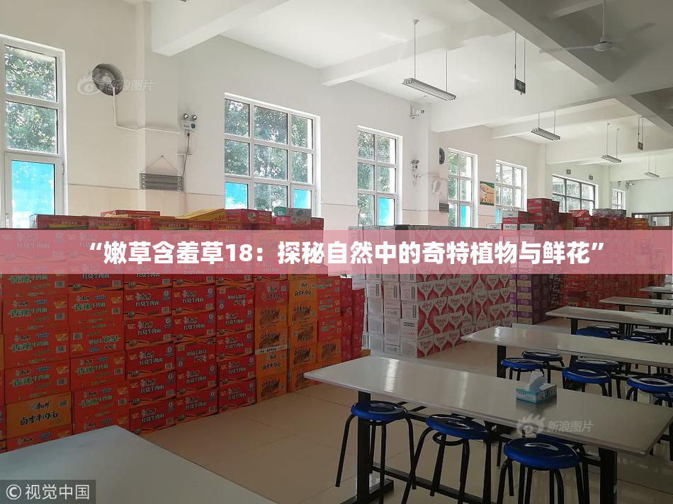 “嫩草含羞草18：探秘自然中的奇特植物与鲜花”