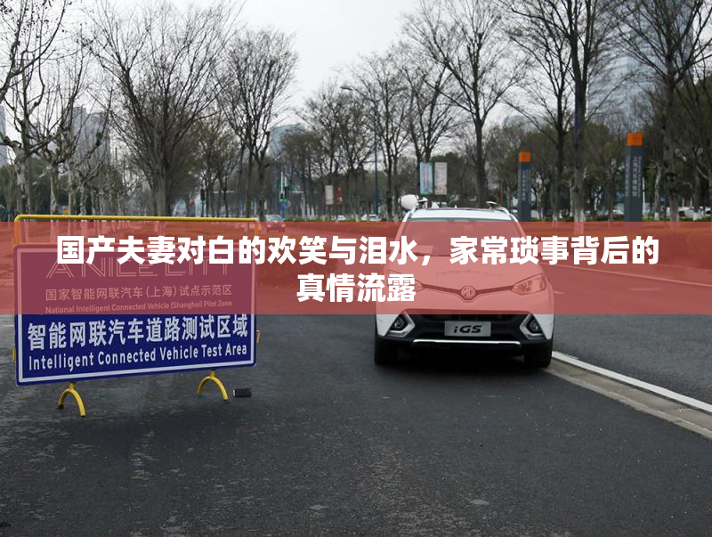 国产夫妻对白的欢笑与泪水，家常琐事背后的真情流露