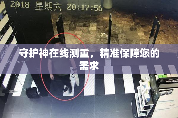 守护神在线测重，精准保障您的需求