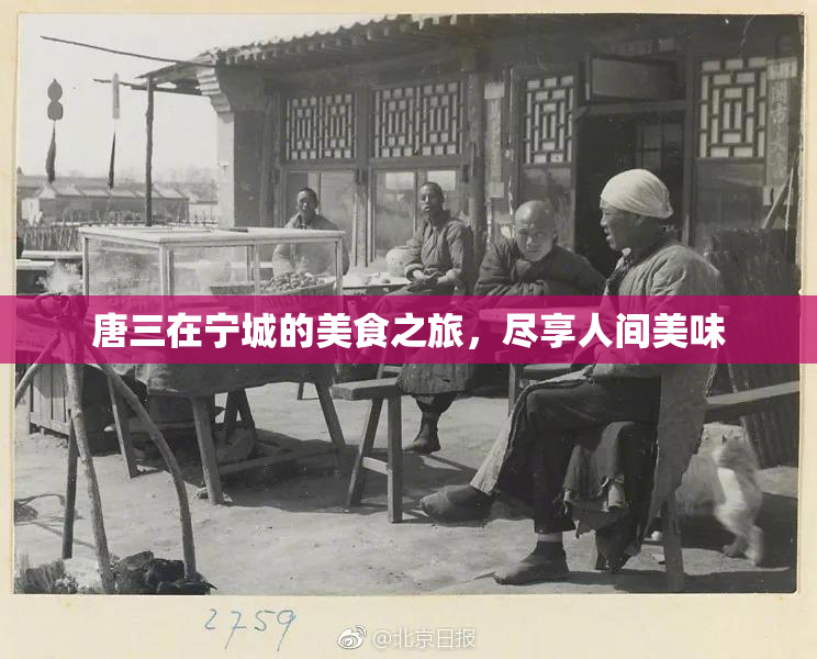 唐三在宁城的美食之旅，尽享人间美味