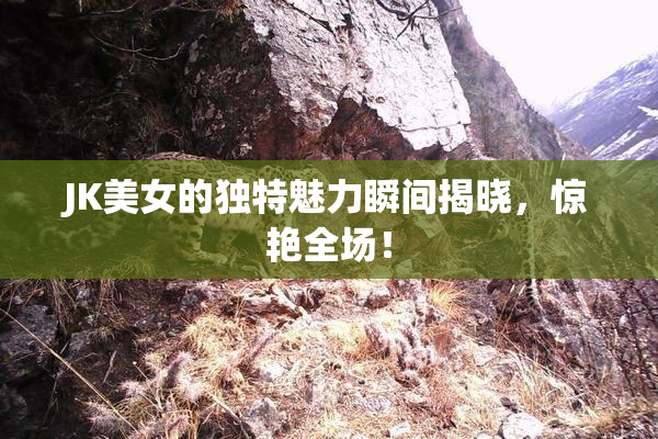 JK美女的独特魅力瞬间揭晓，惊艳全场！