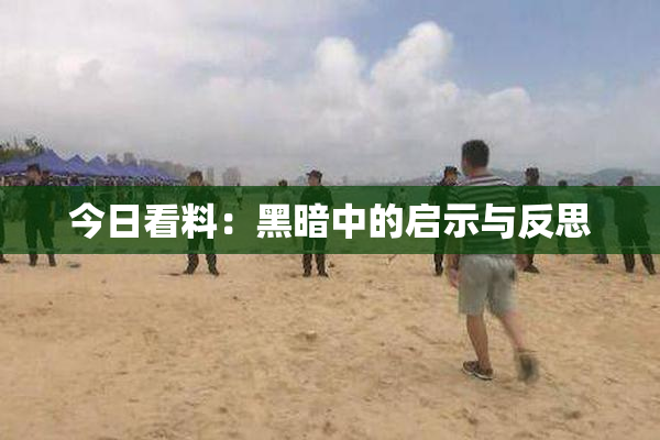 今日看料：黑暗中的启示与反思