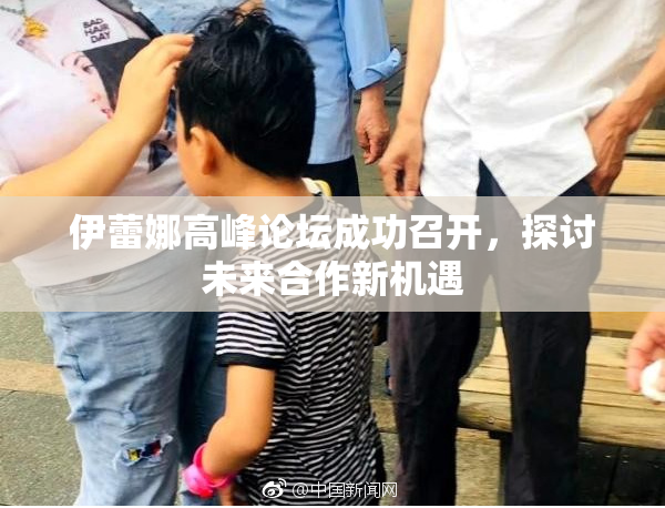 伊蕾娜高峰论坛成功召开，探讨未来合作新机遇