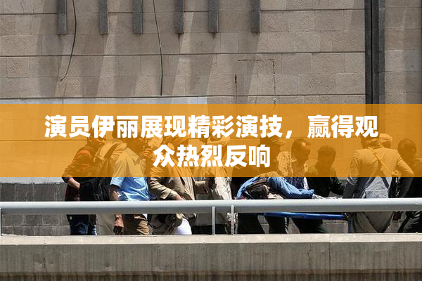 演员伊丽展现精彩演技，赢得观众热烈反响