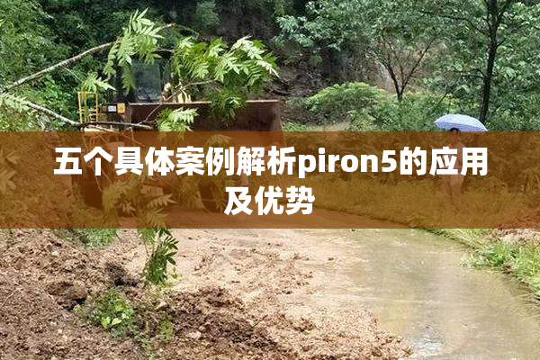 五个具体案例解析piron5的应用及优势