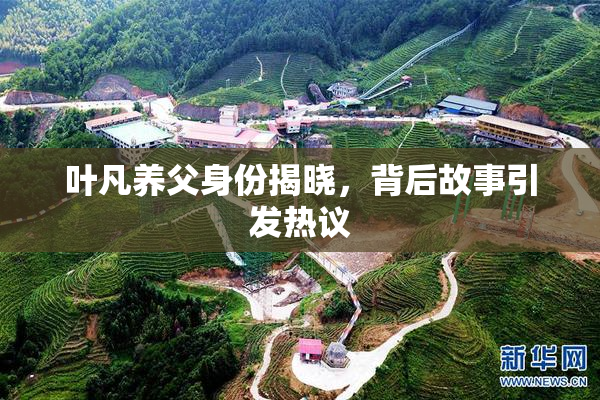 叶凡养父身份揭晓，背后故事引发热议