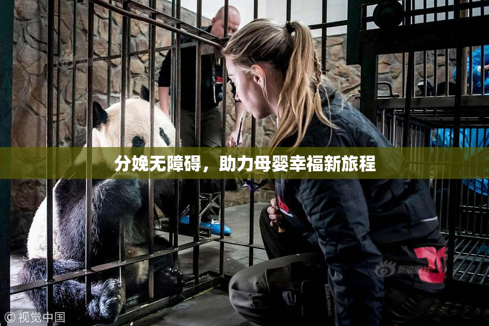 分娩无障碍，助力母婴幸福新旅程