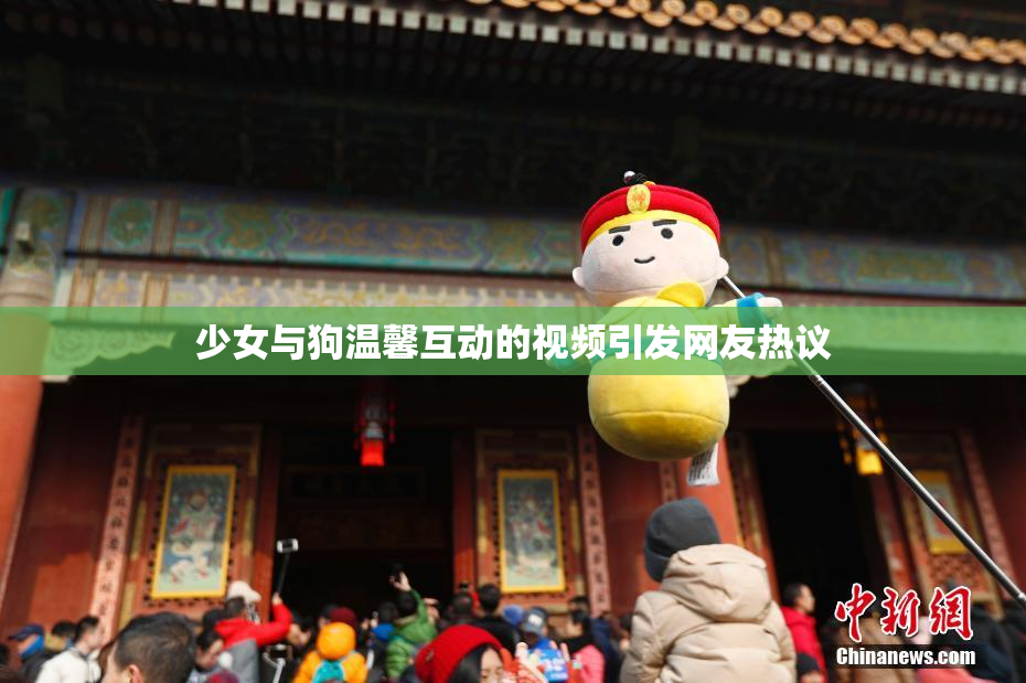 少女与狗温馨互动的视频引发网友热议