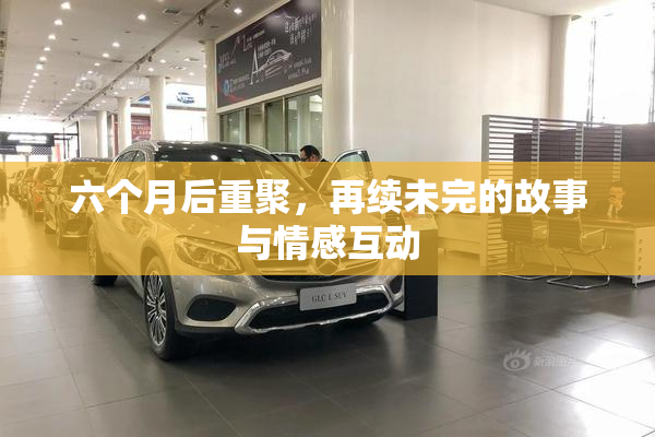 六个月后重聚，再续未完的故事与情感互动