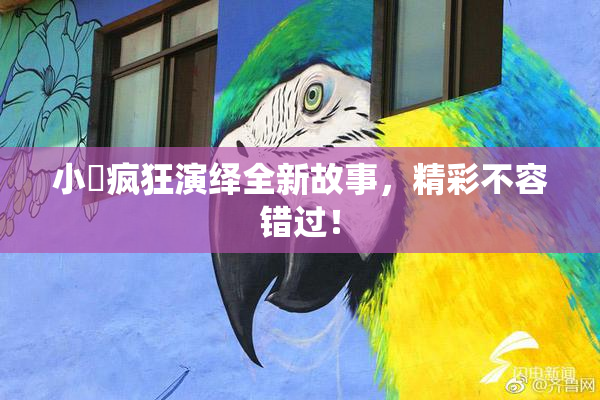 小泬疯狂演绎全新故事，精彩不容错过！
