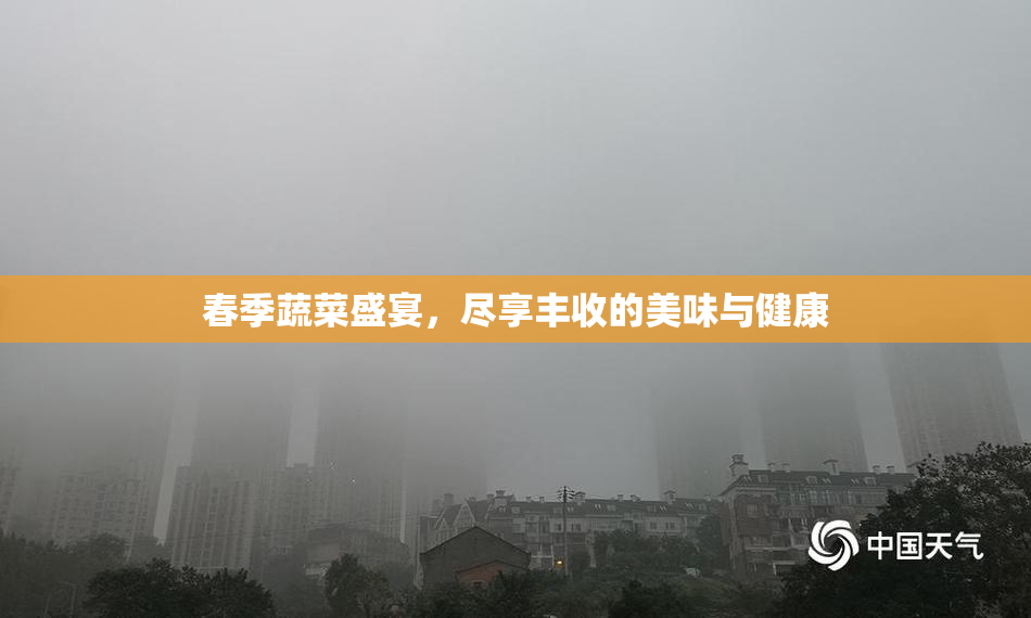 春季蔬菜盛宴，尽享丰收的美味与健康