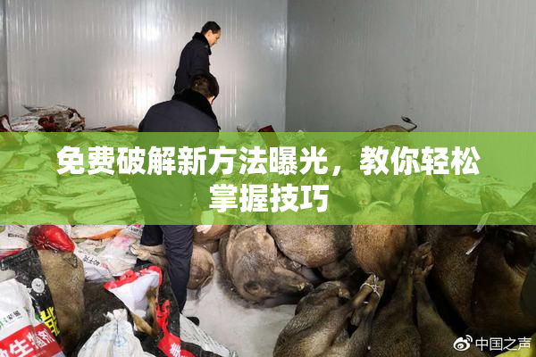 免费破解新方法曝光，教你轻松掌握技巧