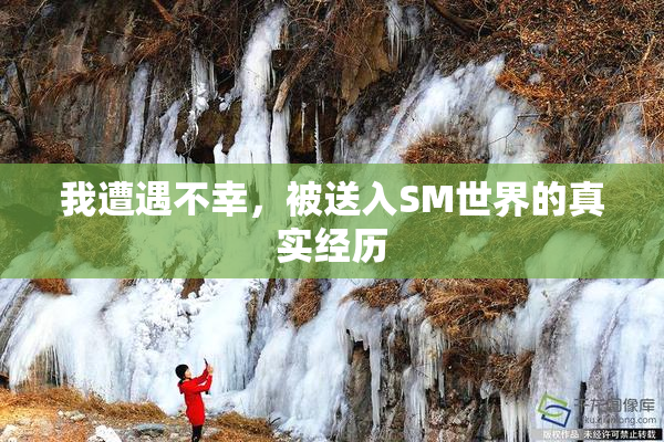 我遭遇不幸，被送入SM世界的真实经历