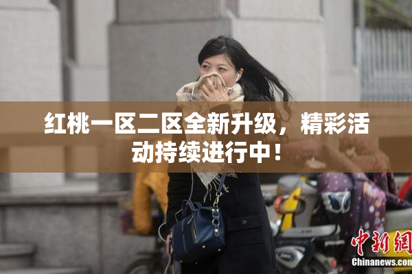 红桃一区二区全新升级，精彩活动持续进行中！