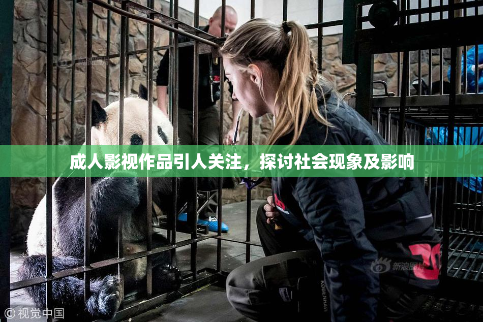 成人影视作品引人关注，探讨社会现象及影响