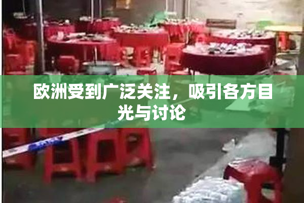欧洲受到广泛关注，吸引各方目光与讨论
