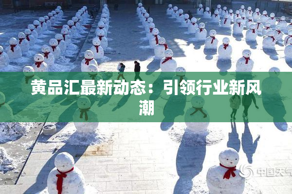 黄品汇最新动态：引领行业新风潮