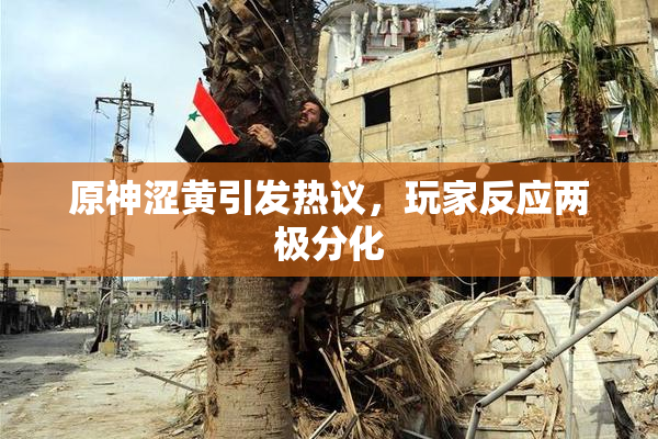 原神涩黄引发热议，玩家反应两极分化