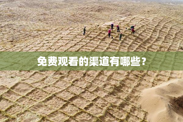 免费观看的渠道有哪些？