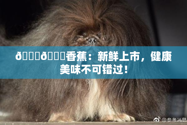 🔞🔞香蕉：新鲜上市，健康美味不可错过！
