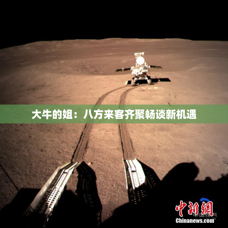 大牛的姐：八方来客齐聚畅谈新机遇