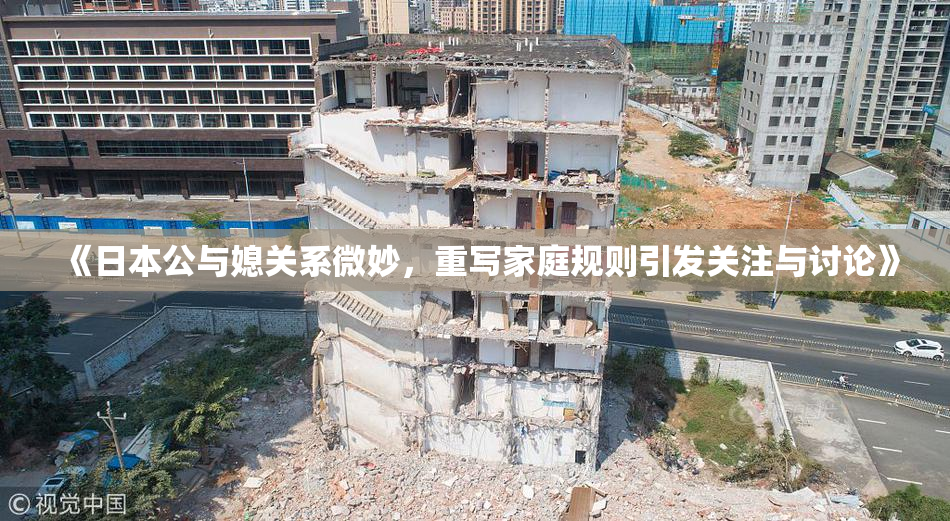 《日本公与媳关系微妙，重写家庭规则引发关注与讨论》