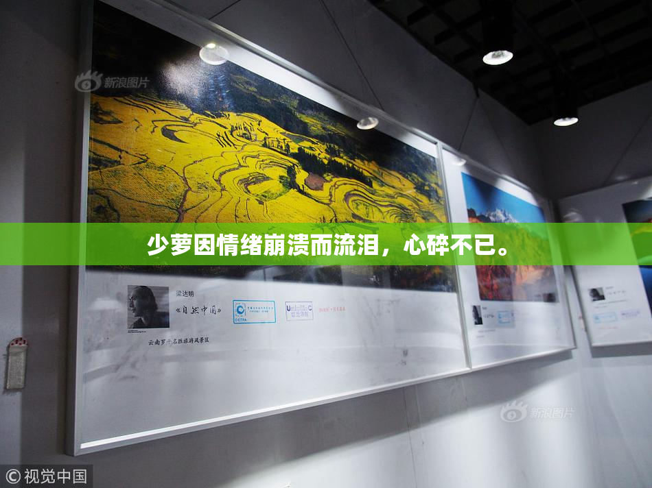 少萝因情绪崩溃而流泪，心碎不已。