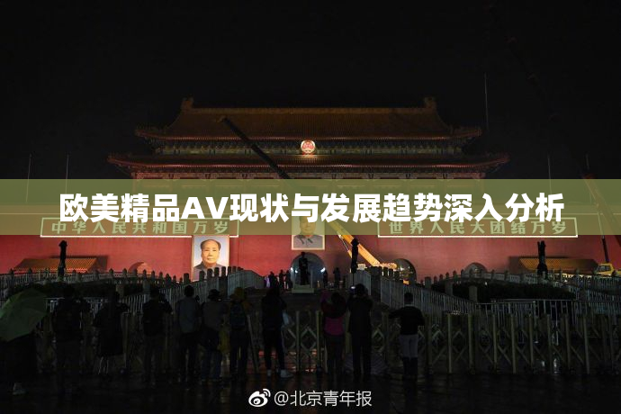 欧美精品AV现状与发展趋势深入分析