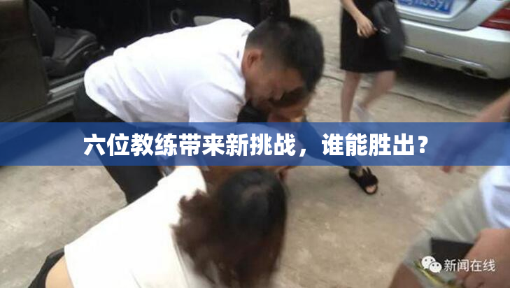 六位教练带来新挑战，谁能胜出？