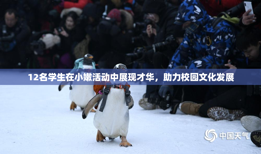 12名学生在小嫩活动中展现才华，助力校园文化发展