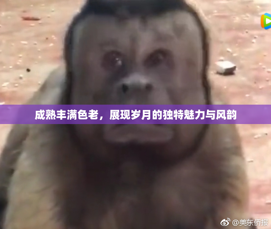 成熟丰满色老，展现岁月的独特魅力与风韵