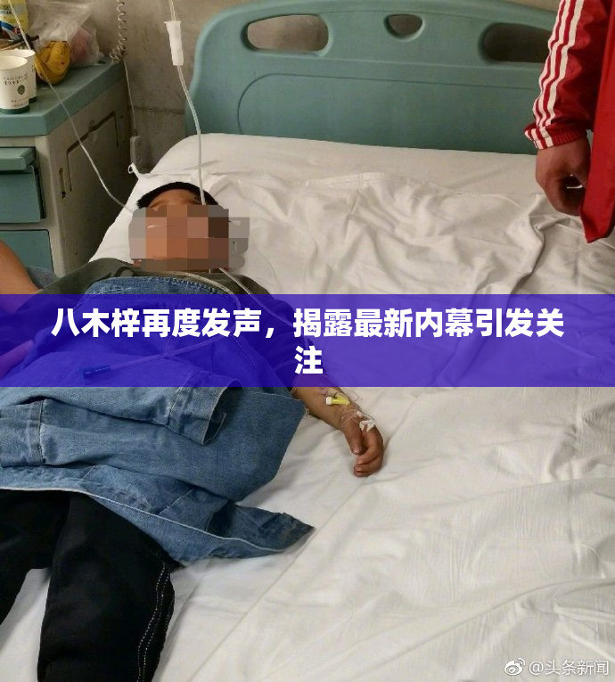 八木梓再度发声，揭露最新内幕引发关注