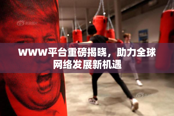 WWW平台重磅揭晓，助力全球网络发展新机遇